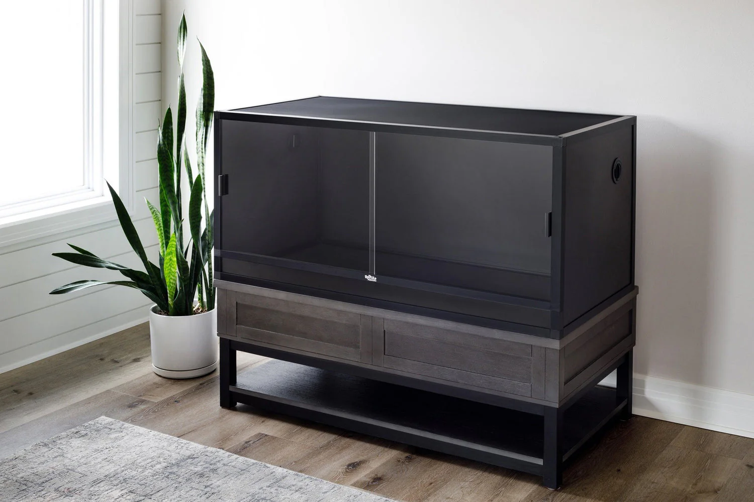 Premium Live Feeders Delivered Fast