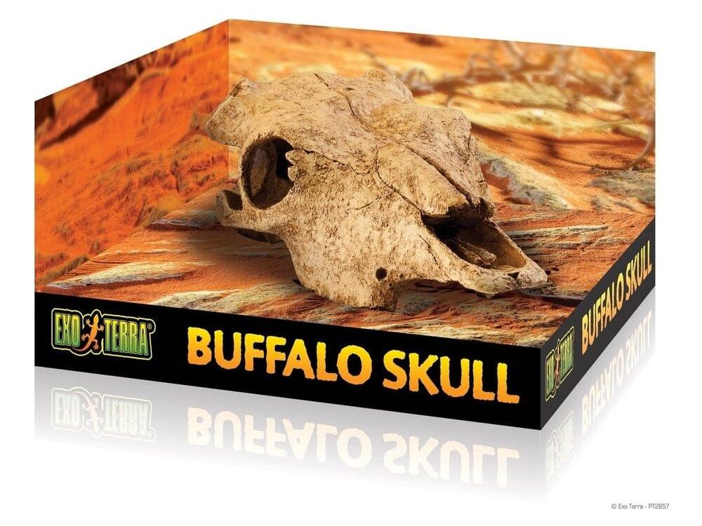 Exo Terra Buffalo Skull, Large