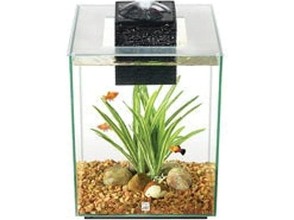 Fluval Chi - 19 L (5 US Gal)