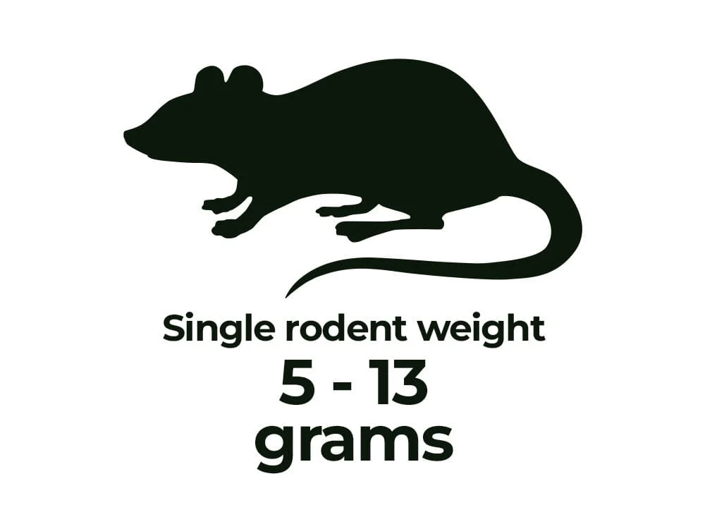 Frozen Rodents FREE SHIPPING - Image 10