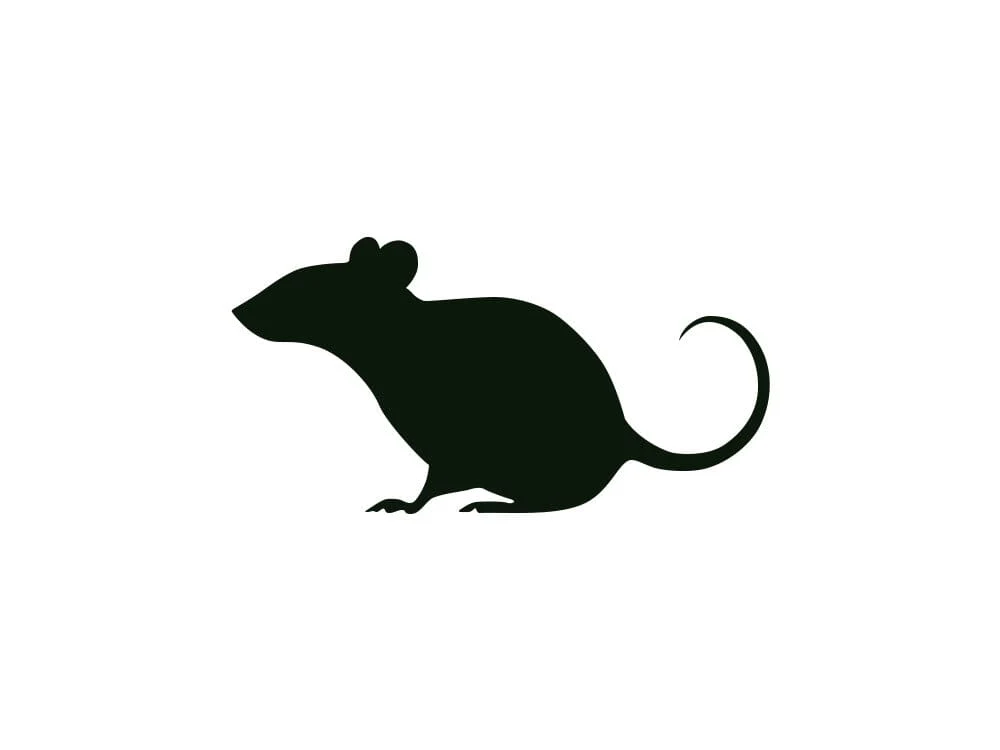 Frozen Rodents FREE SHIPPING - Image 13