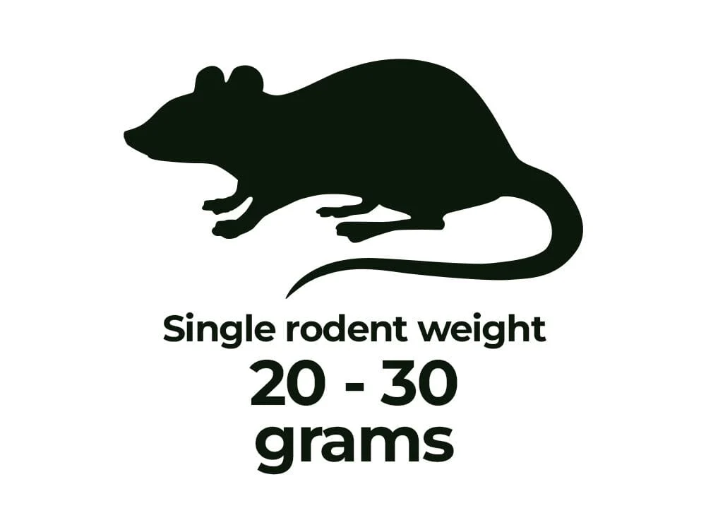 Frozen Rodents FREE SHIPPING - Image 15