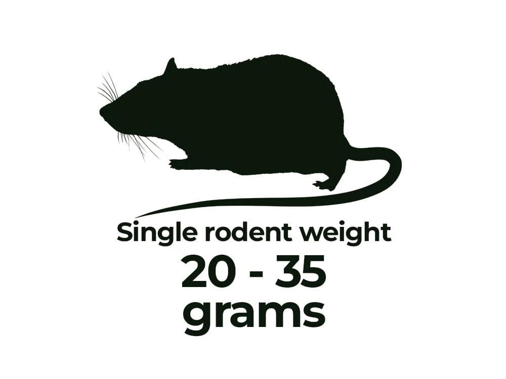 Frozen Rodents FREE SHIPPING - Image 16