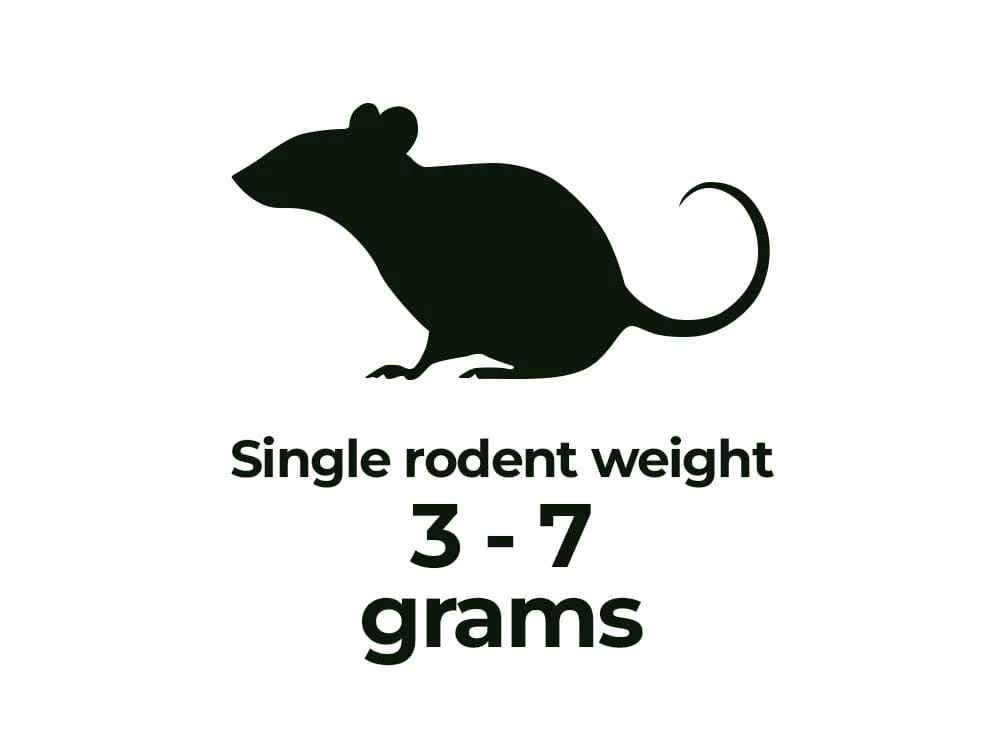 Frozen Rodents FREE SHIPPING - Image 4