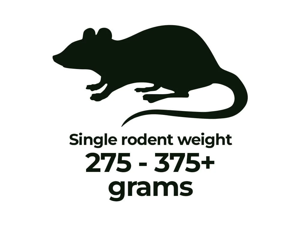 Frozen Rodents FREE SHIPPING - Image 8