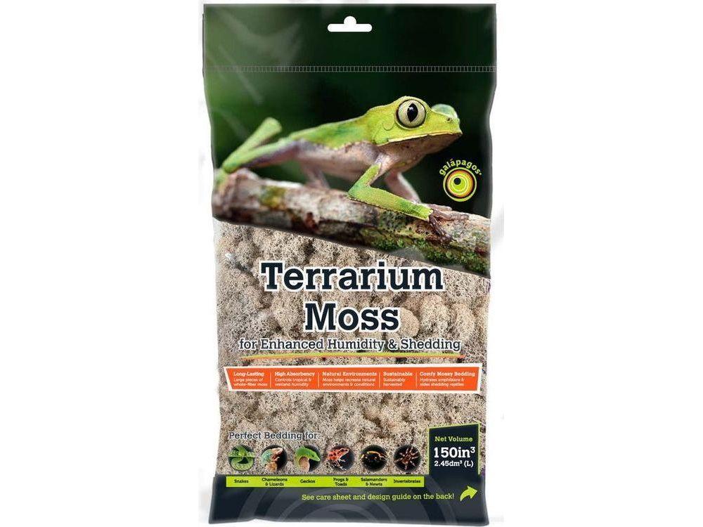 Galapagos Reindeer Moss, 150 in³