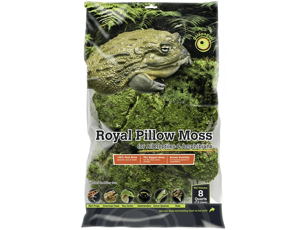 Galapagos Royal Pillow Moss, 150 in³