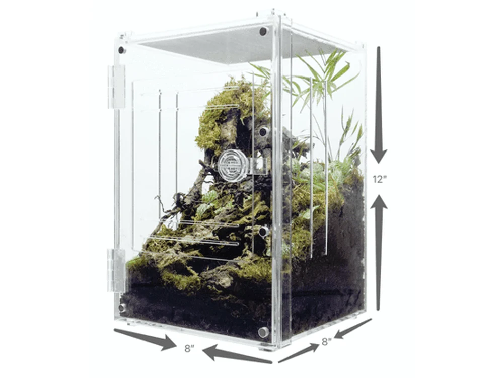 Herpcult Acrylic Enclosure Front-Opening Small (With slits and lock)  8"x8"x12"