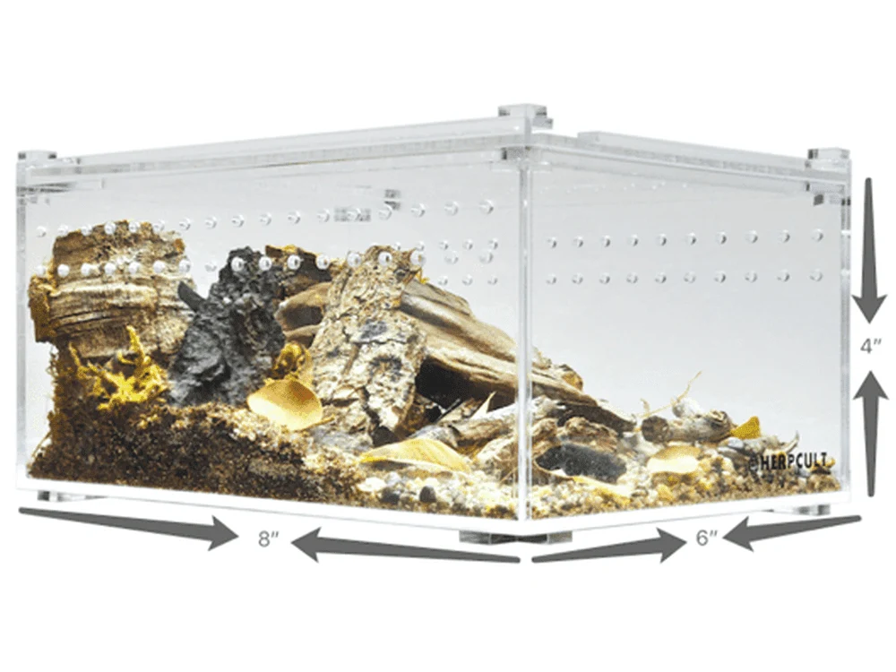 Herpcult Acrylic Enclosure Small-Flat 8"x6"x4"