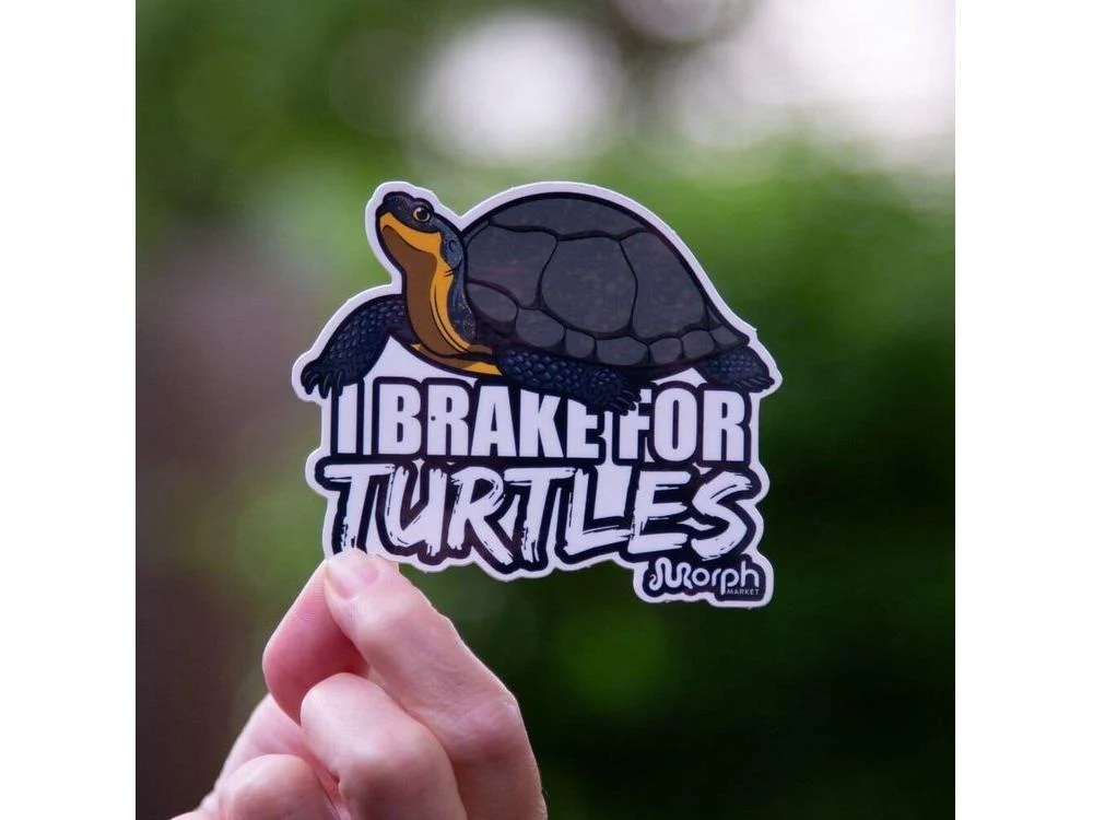 I Brake For Turtles Sticker - Image 2