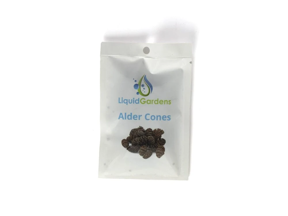 LG Alder Cones 25ct - Image 2