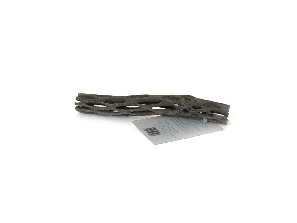 LG Cholla Wood 3in - Image 2