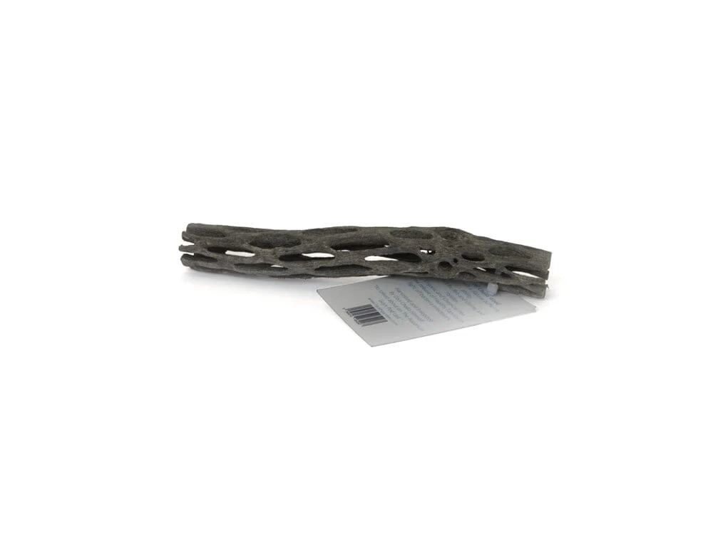 LG Cholla Wood 6in