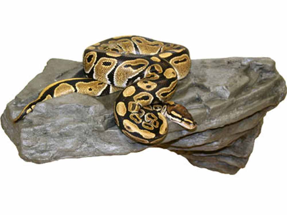 Magnaturals Lg X-tra Strong Rock Ledge Granite
