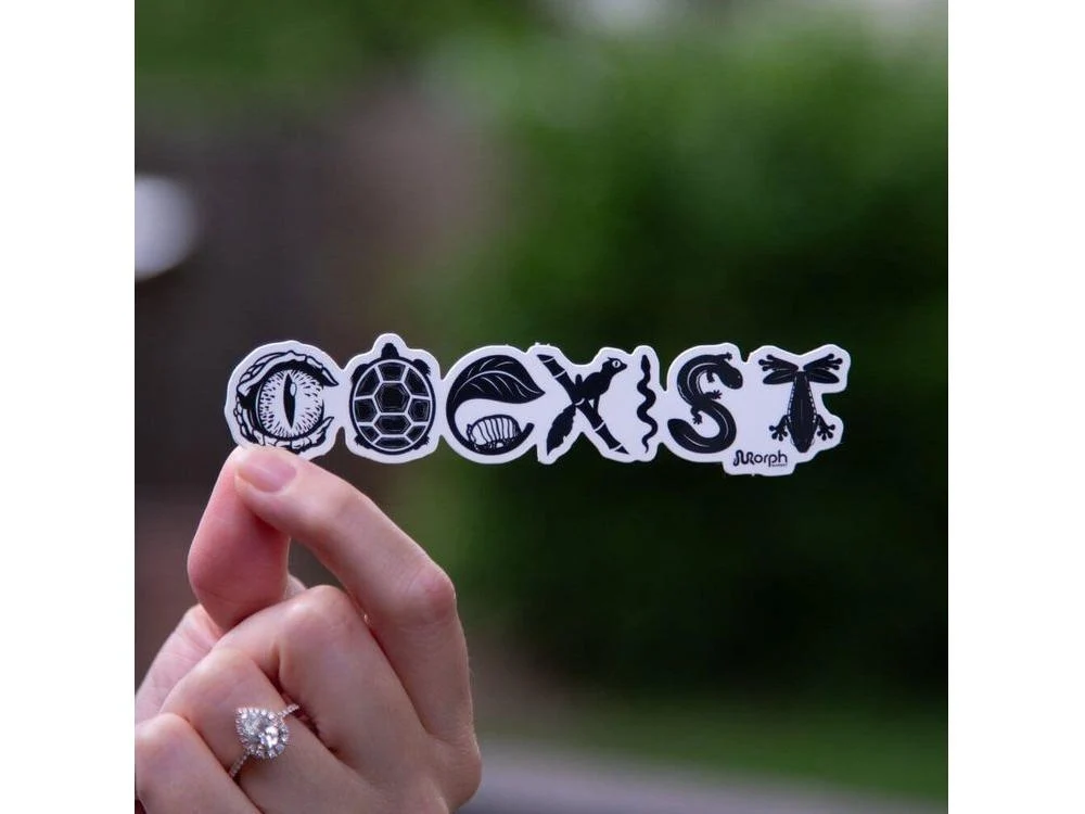 Coexist Sticker (B&W) - Image 2