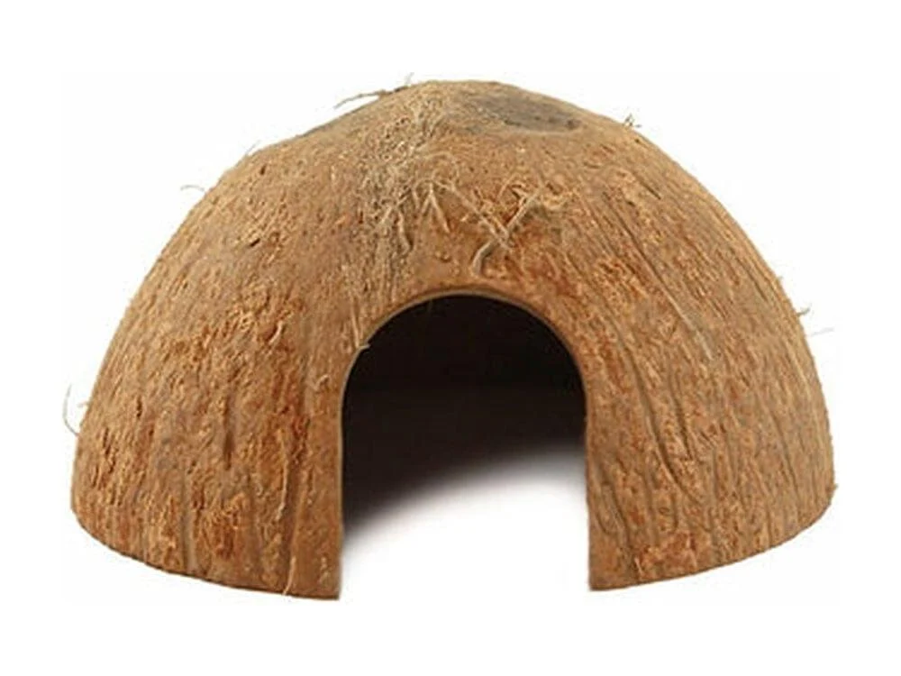 Pangea CocoHut