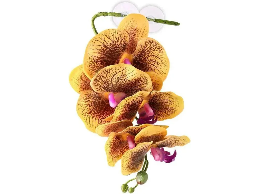 Pangea Hanging Orchid Yellow