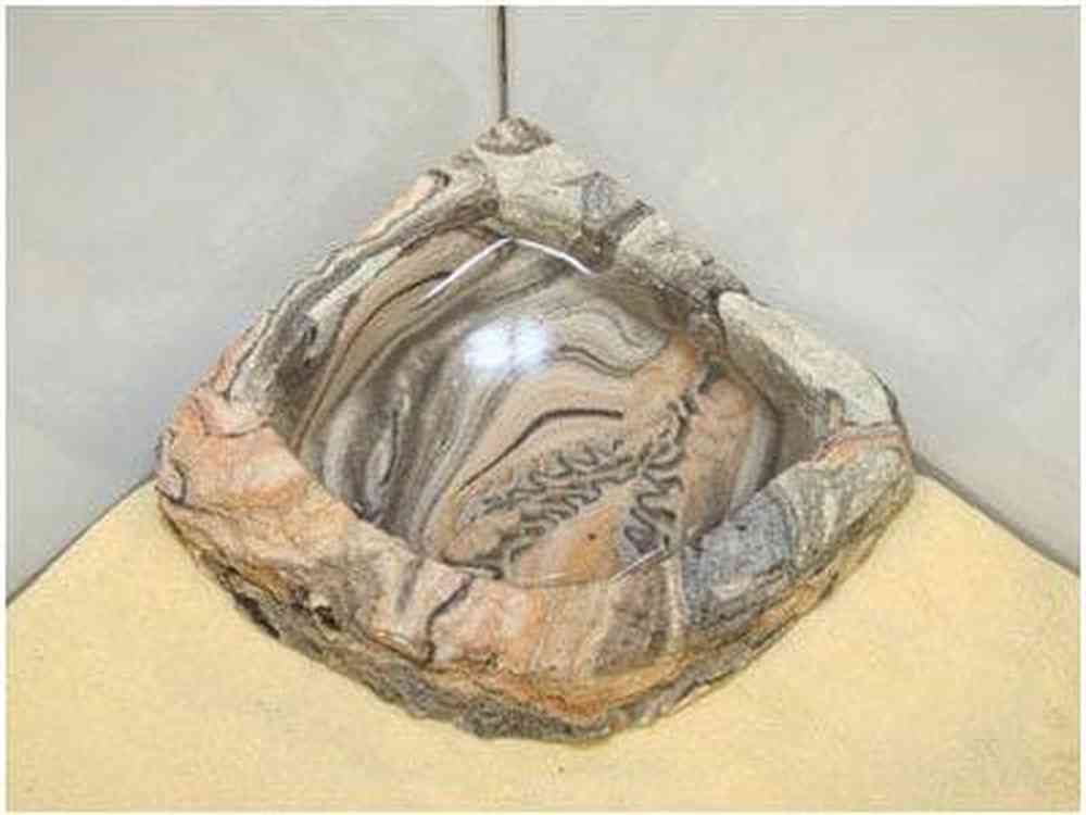 Magnaturals Sm Corner Bowl