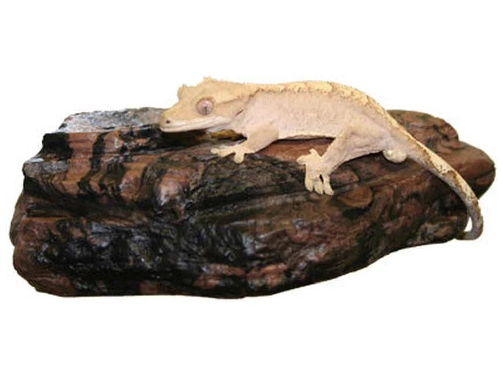 Magnaturals Sm Rock Ledge Earth