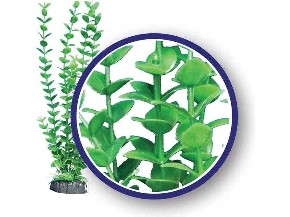 Weco Products Freshwater Series Bacopa Aquarium Plant Green, 1ea/12 in