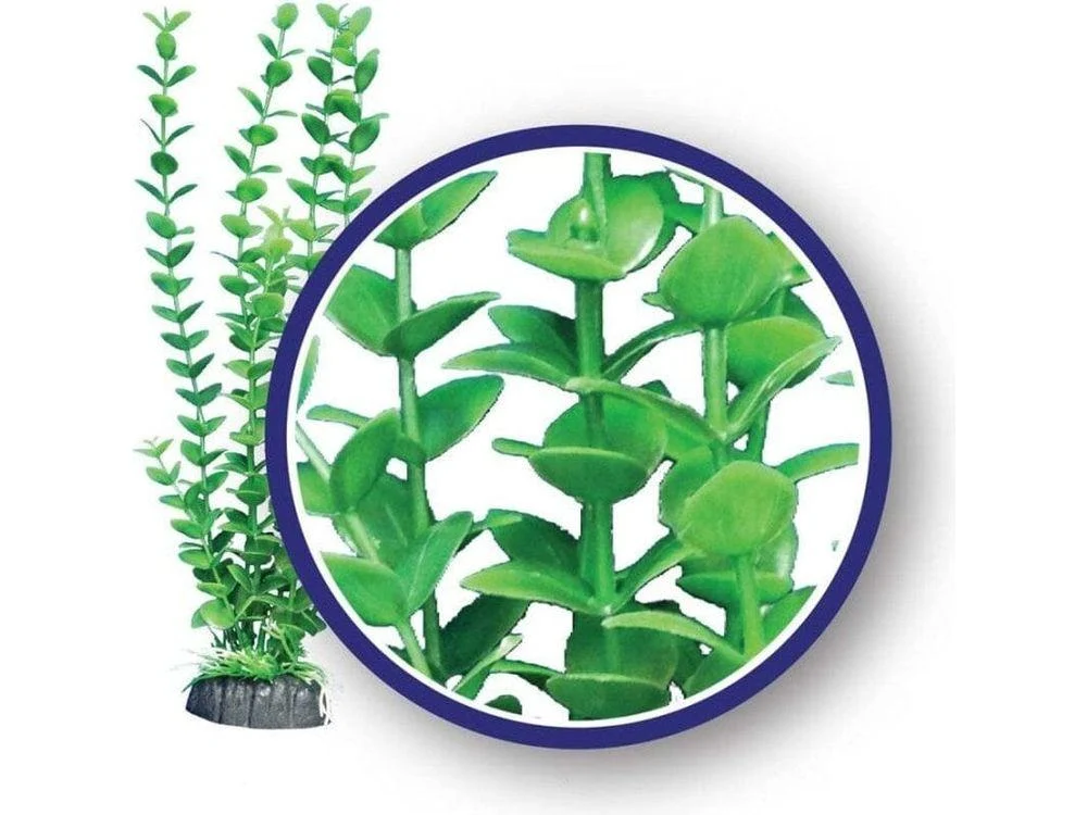 Weco Products Freshwater Series Bacopa Aquarium Plant Green, 1ea/6 in