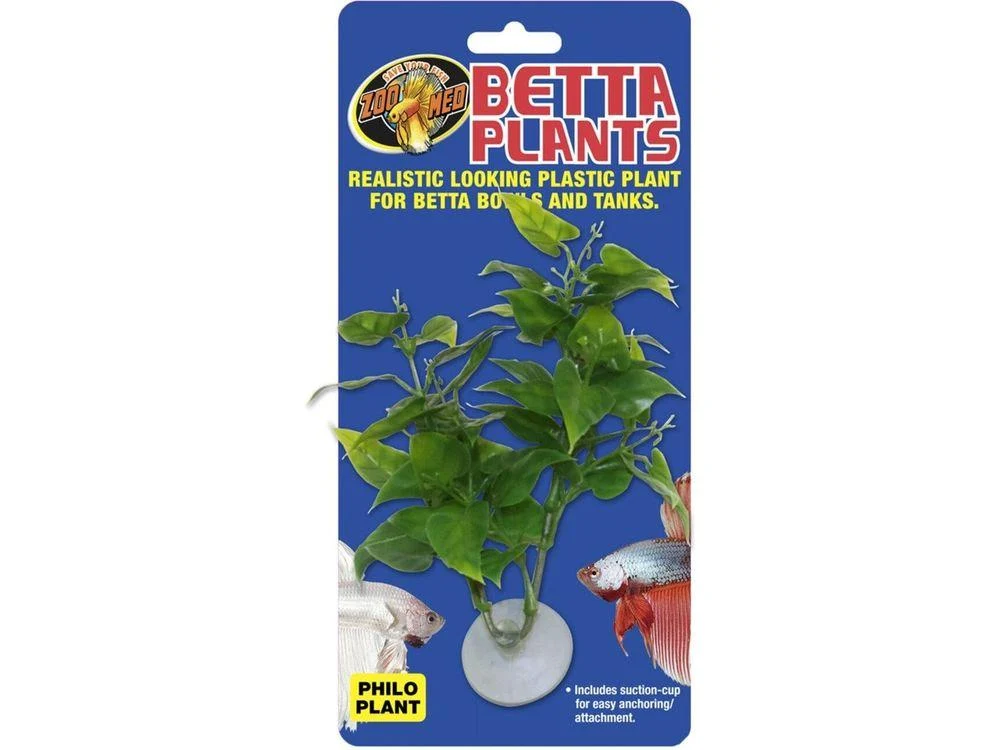 Zoo Med Betta Plant Philo Green, 1ea