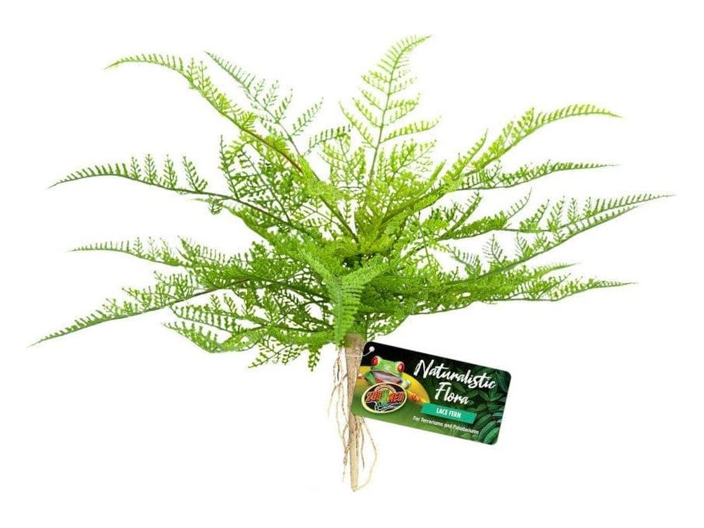 Zoo Med Naturalistic Flora Lace Fern Terrarium Plant Green, Tan, 1ea